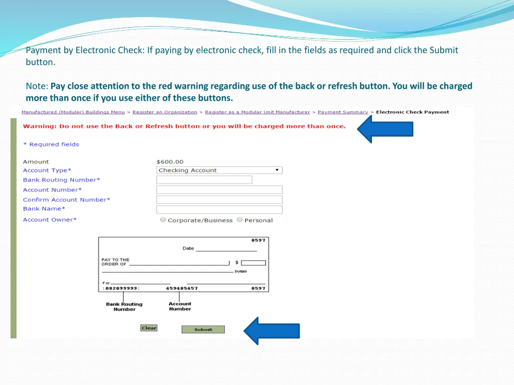 payment by electronic check if paying