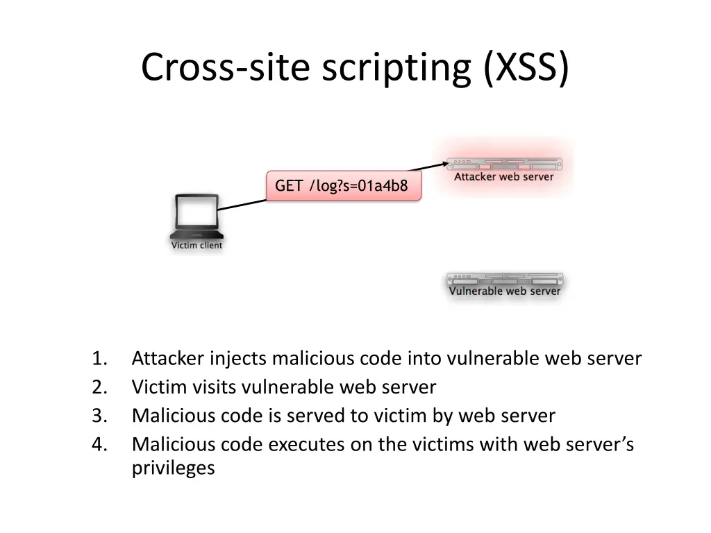 cross site scripting xss