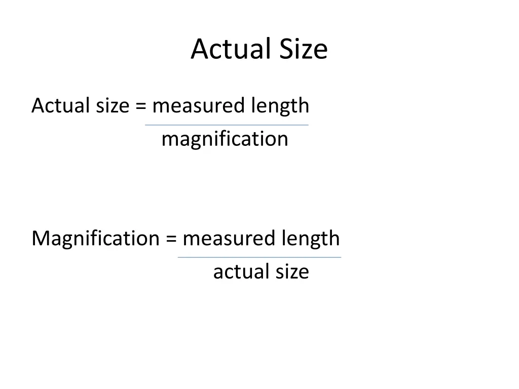 actual size