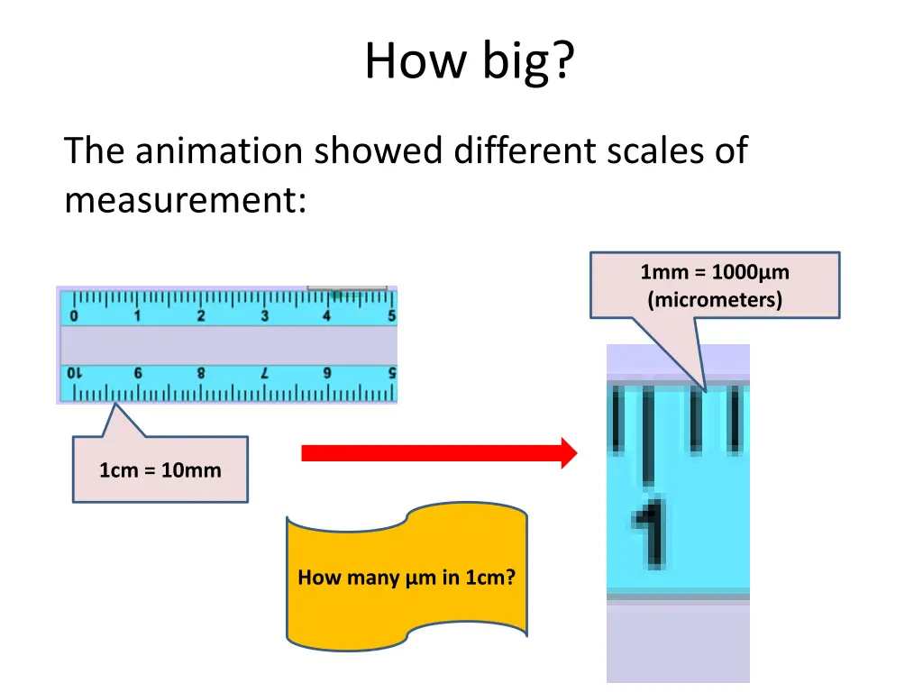 how big