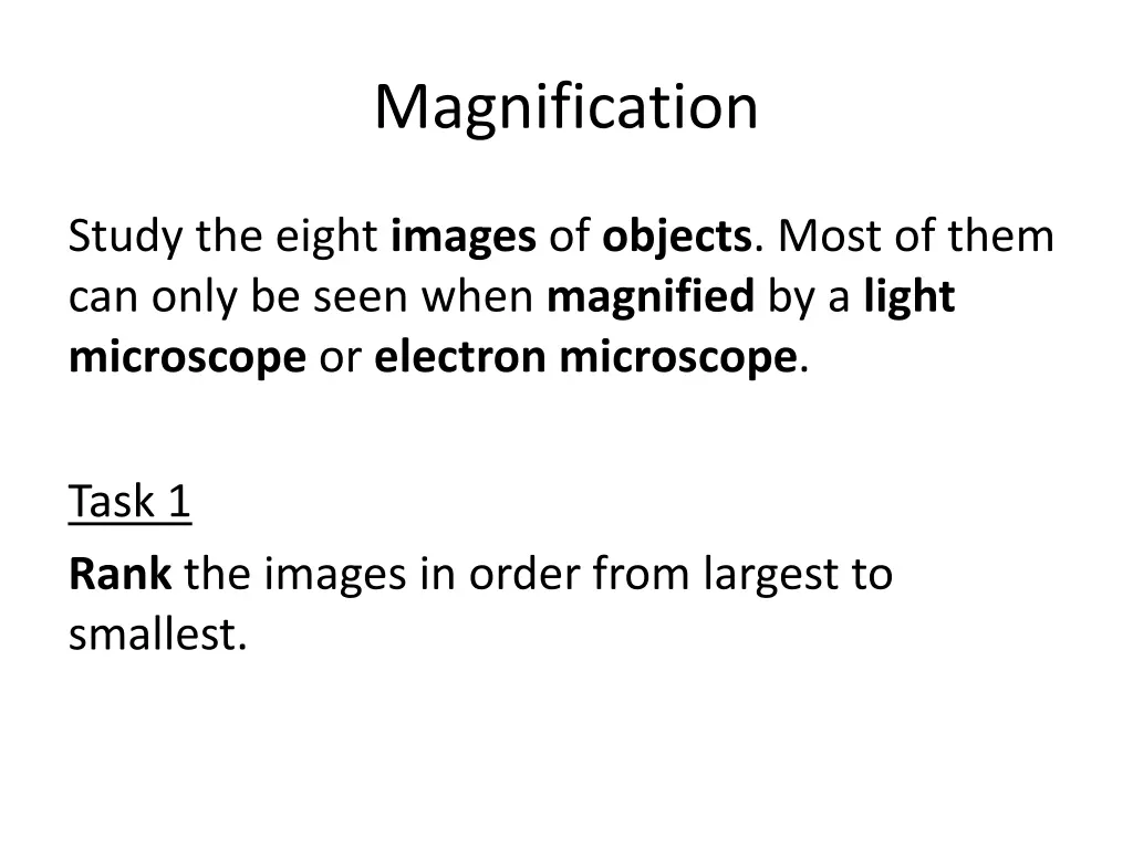 magnification