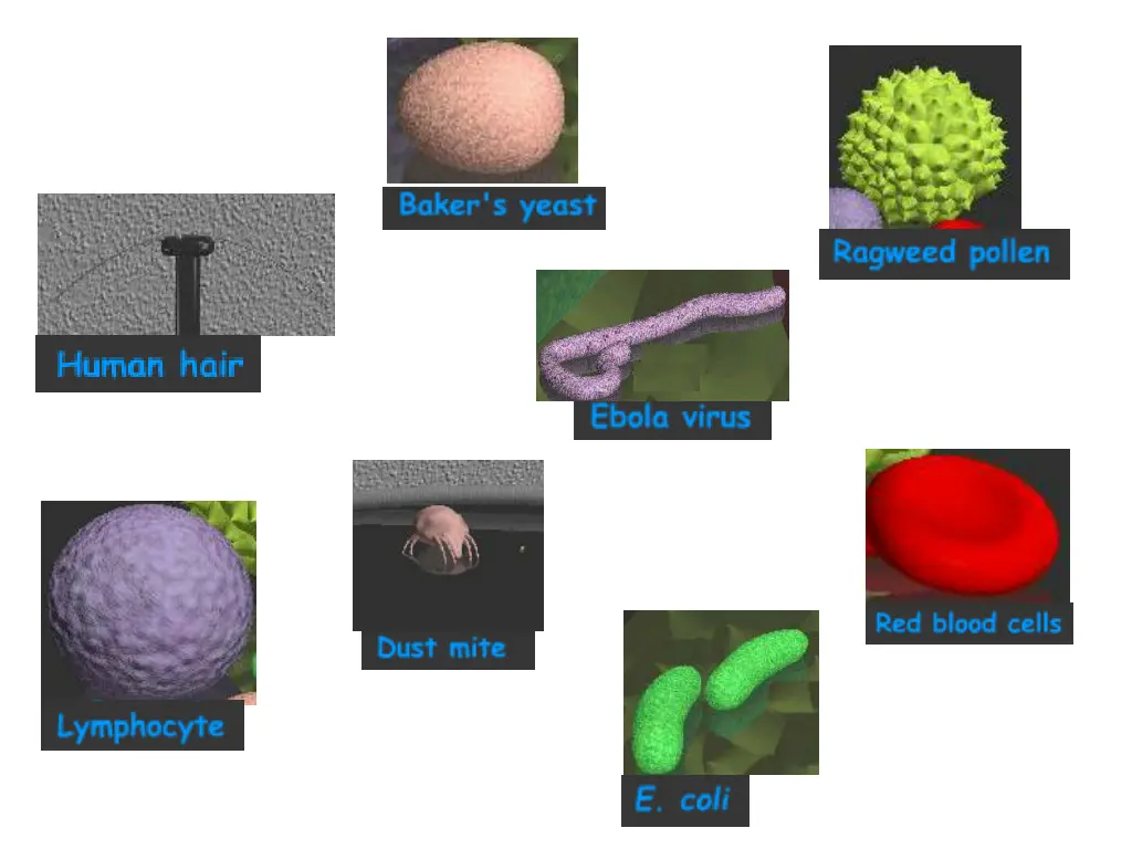 slide5