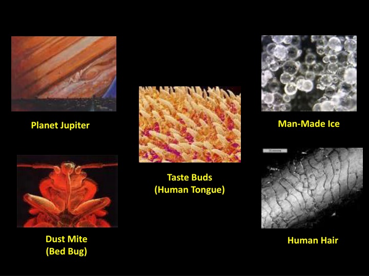 what are these images
