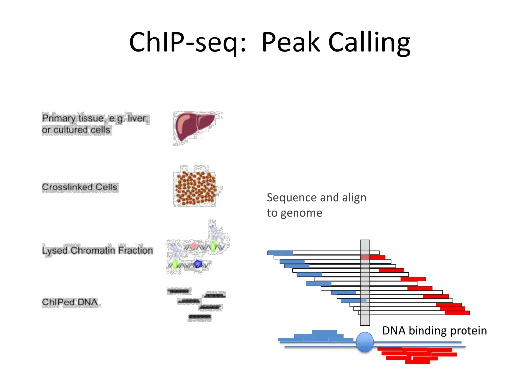 chip seq peak calling