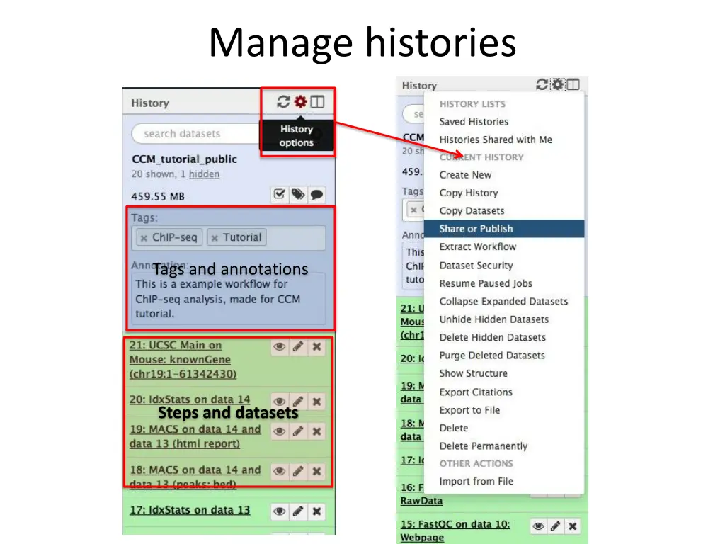 manage histories