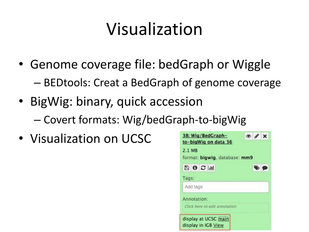 visualization
