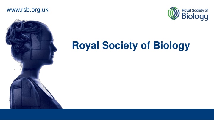 www rsb org uk