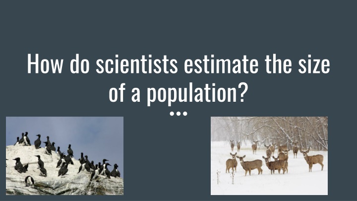 how do scientists estimate the size