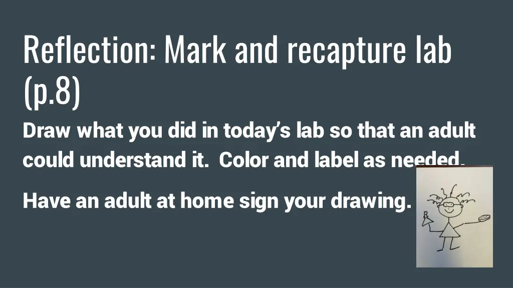 reflection mark and recapture lab p 8 draw what