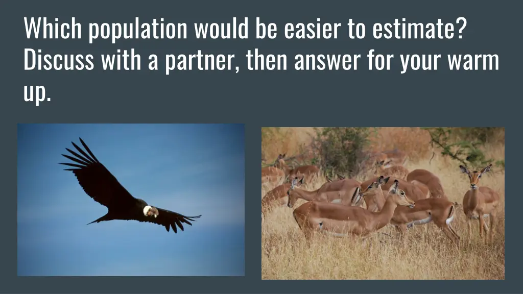 which population would be easier to estimate