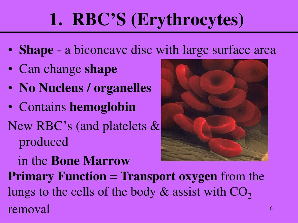1 rbc s erythrocytes