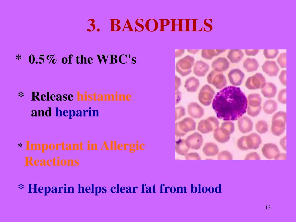 3 basophils