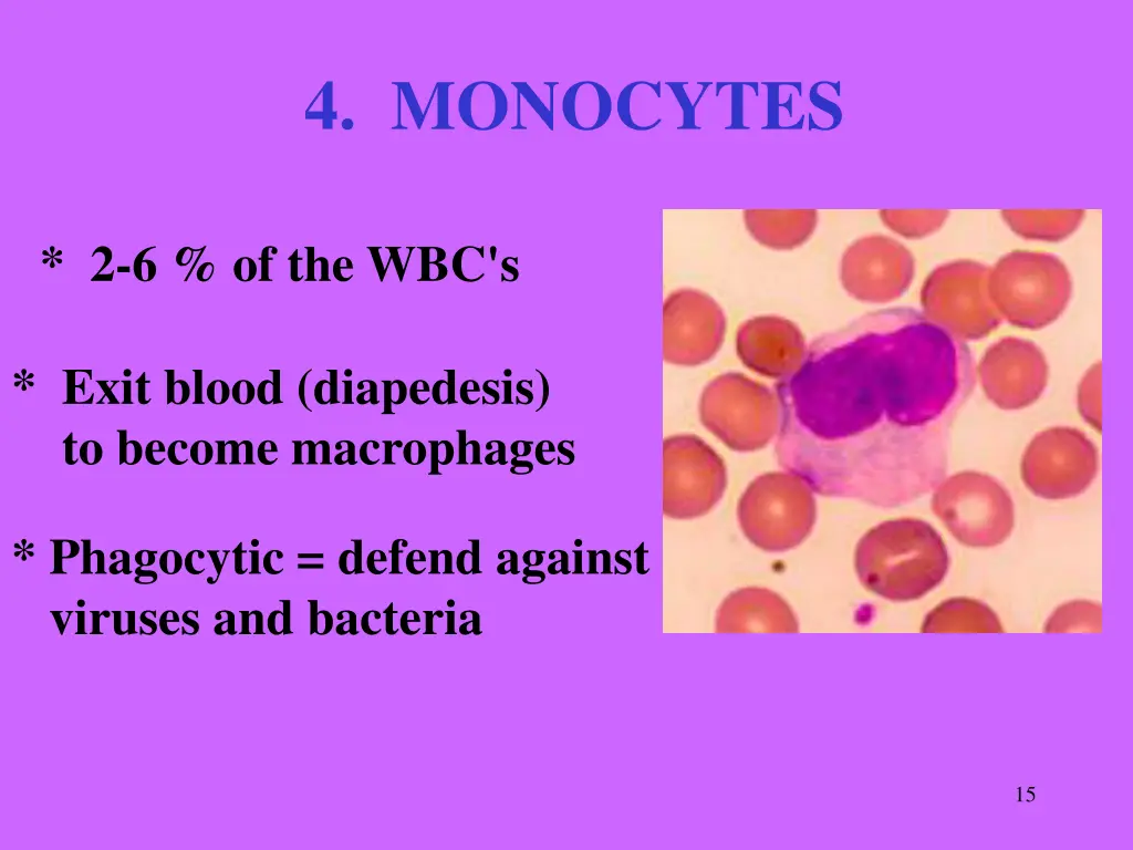 4 monocytes