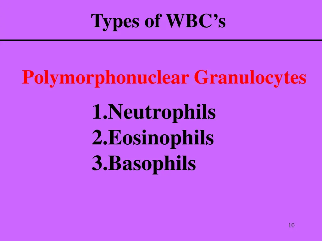 types of wbc s 1