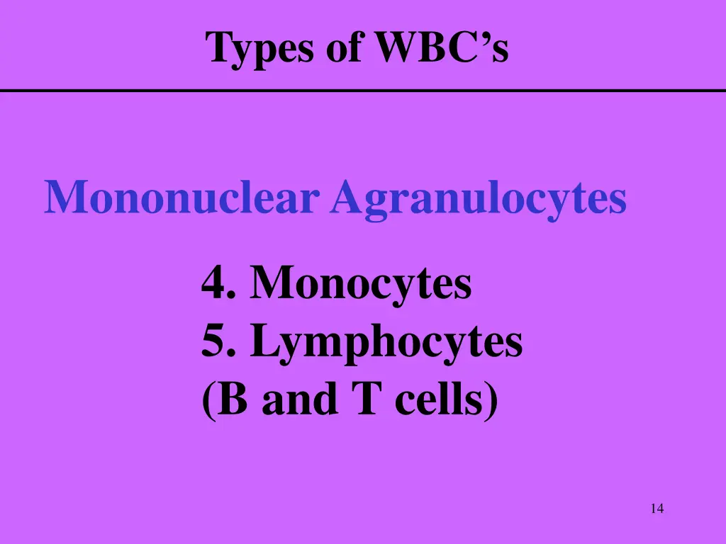 types of wbc s 2