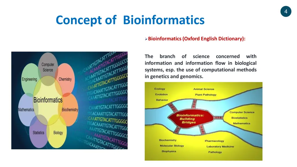 slide4