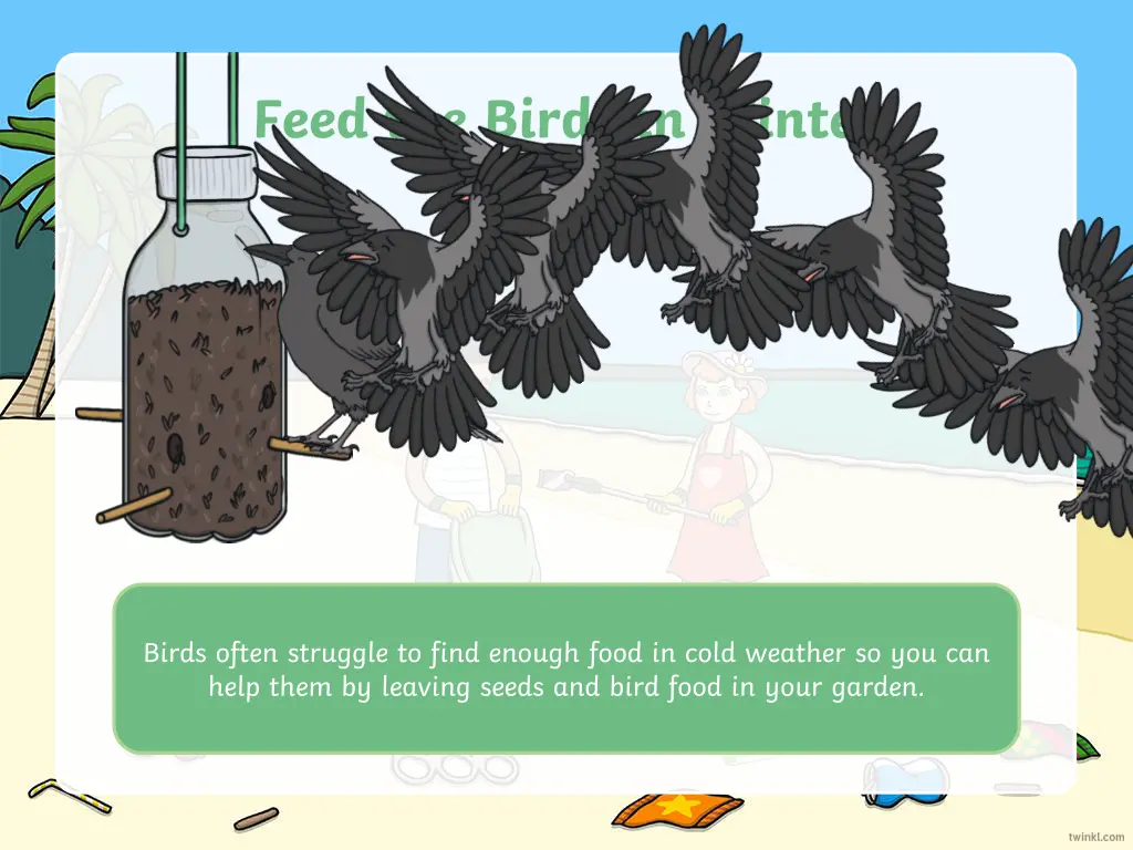 feed the birds in winter
