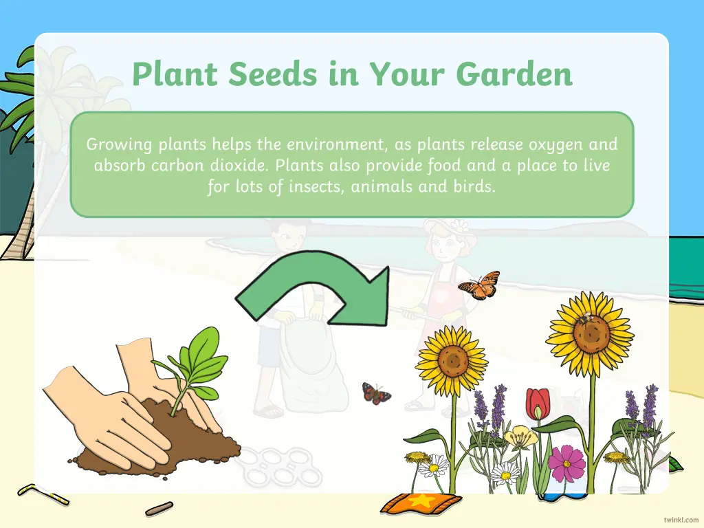 plant seeds in your garden