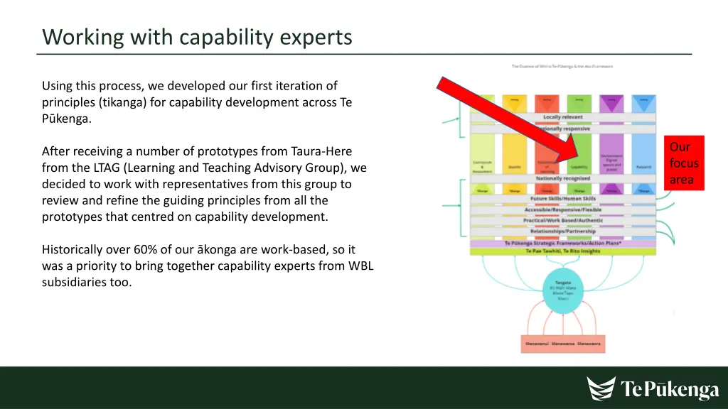 working with capability experts