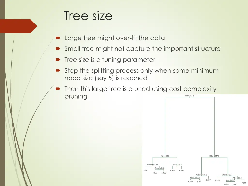 tree size