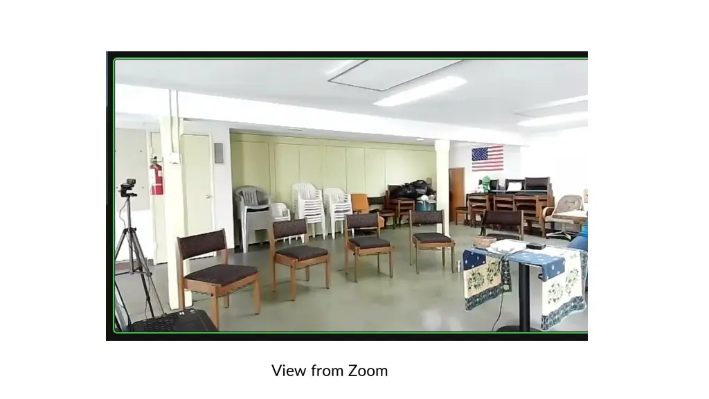 view from zoom