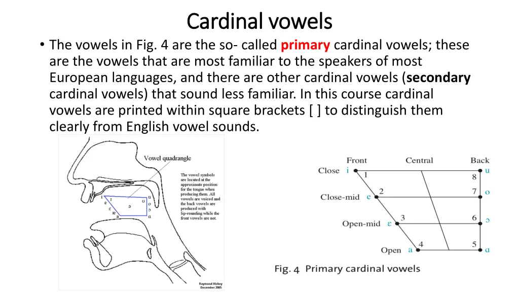 cardinal vowels cardinal vowels