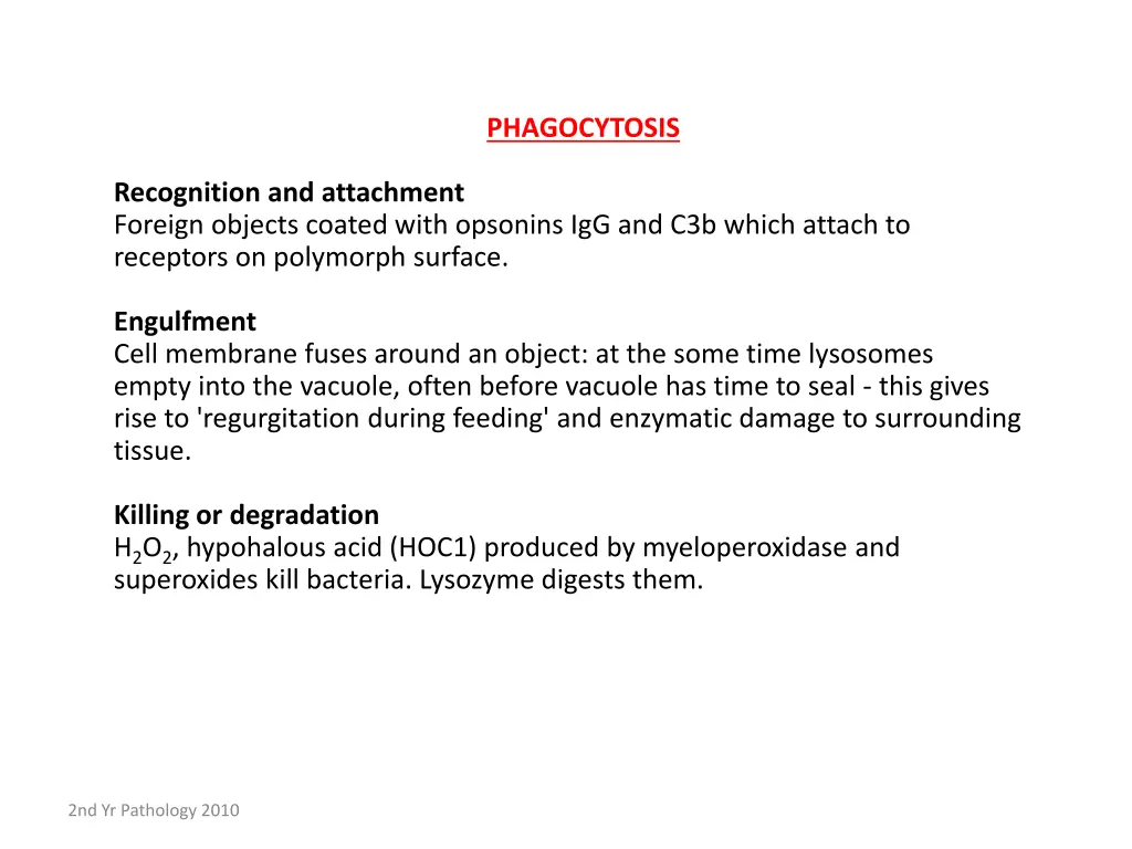 phagocytosis