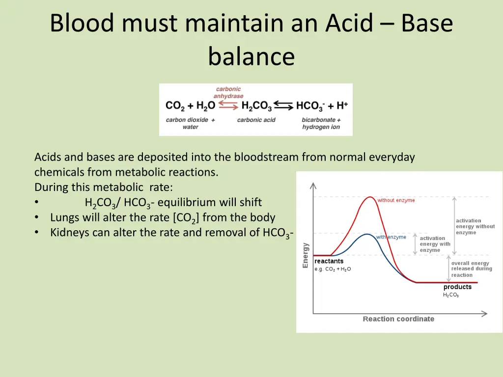 blood must maintain an acid base balance