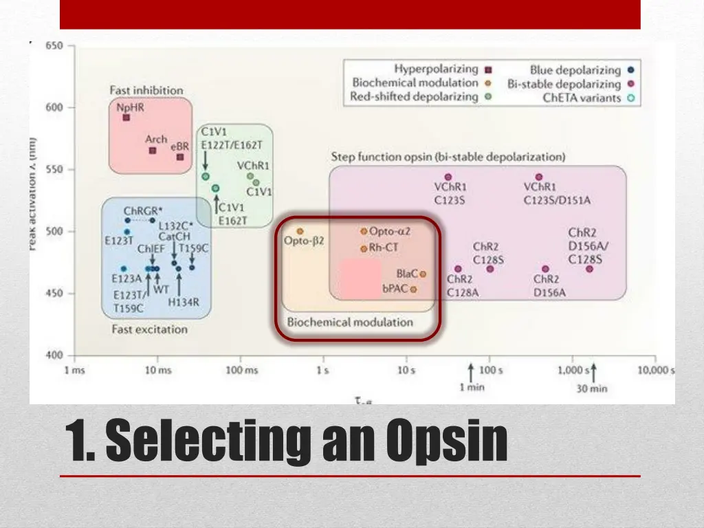 1 selecting an opsin 3