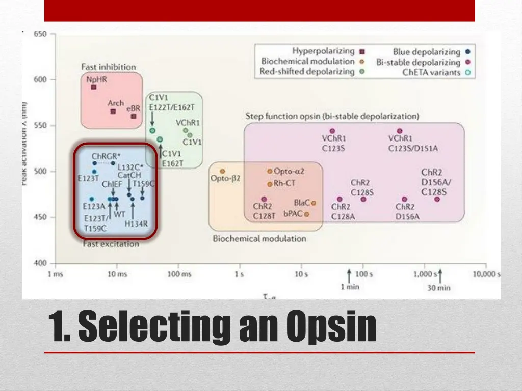 1 selecting an opsin 4