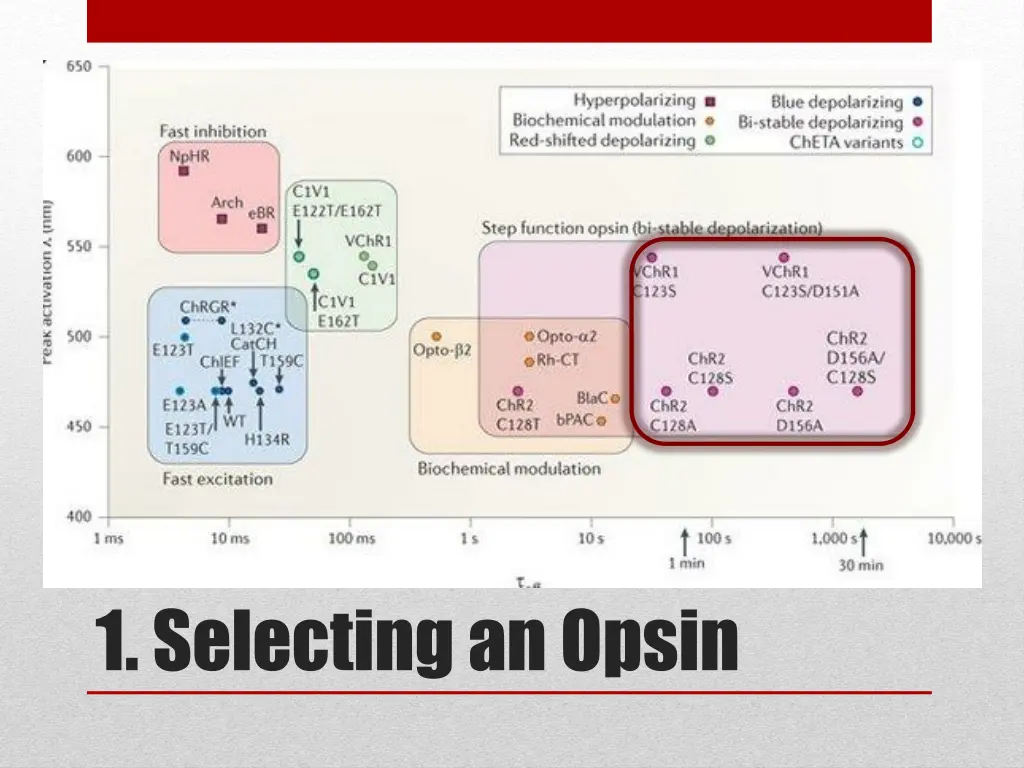 1 selecting an opsin 5