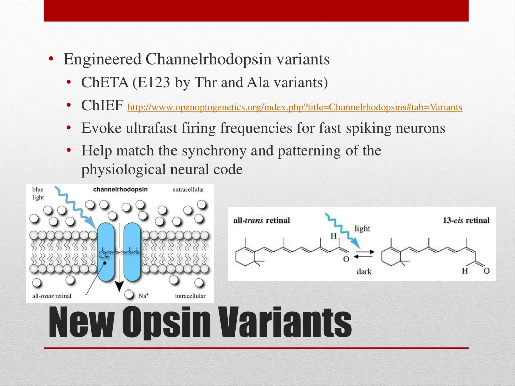 engineered channelrhodopsin variants cheta e123