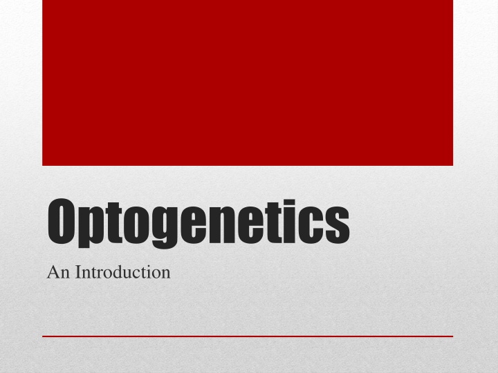 optogenetics an introduction
