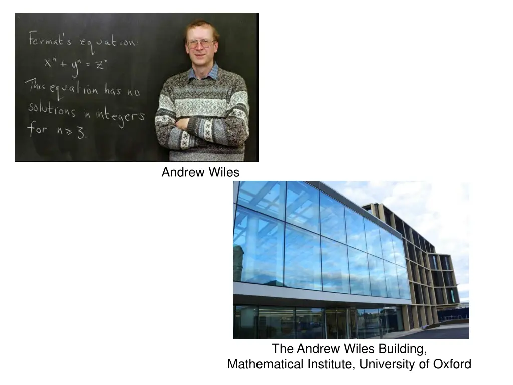 andrew wiles 1