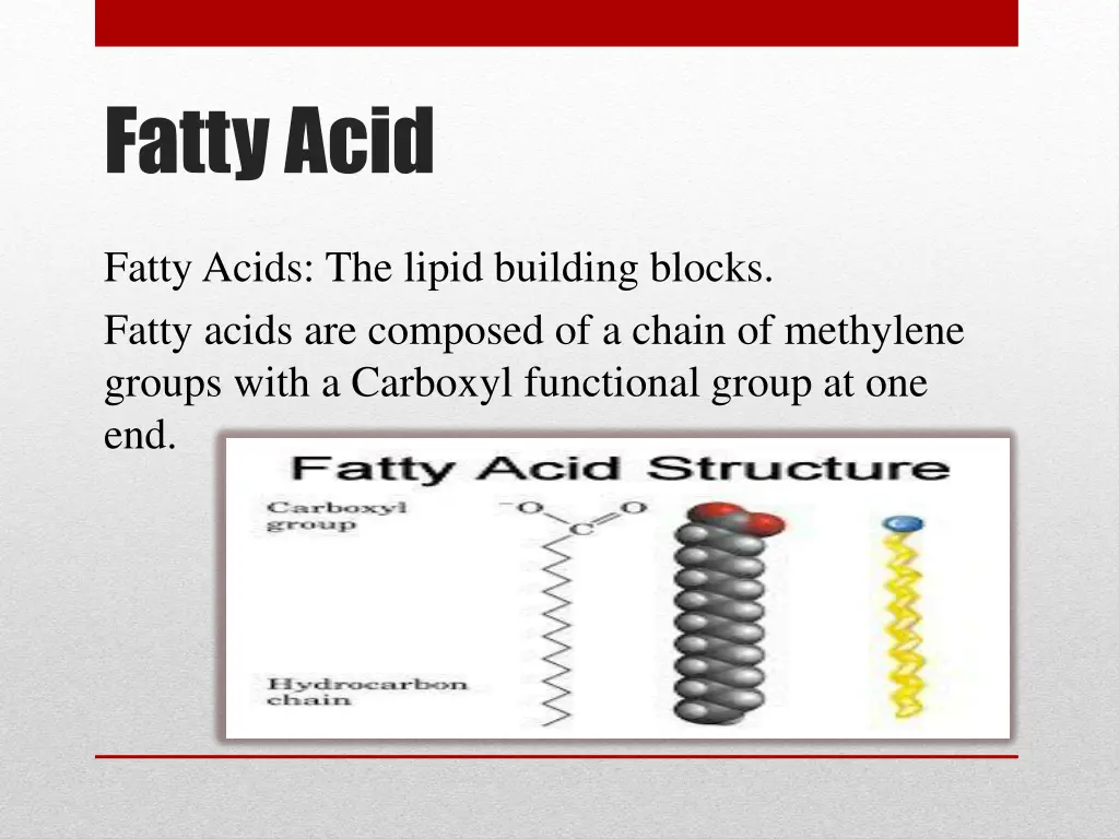 fatty acid