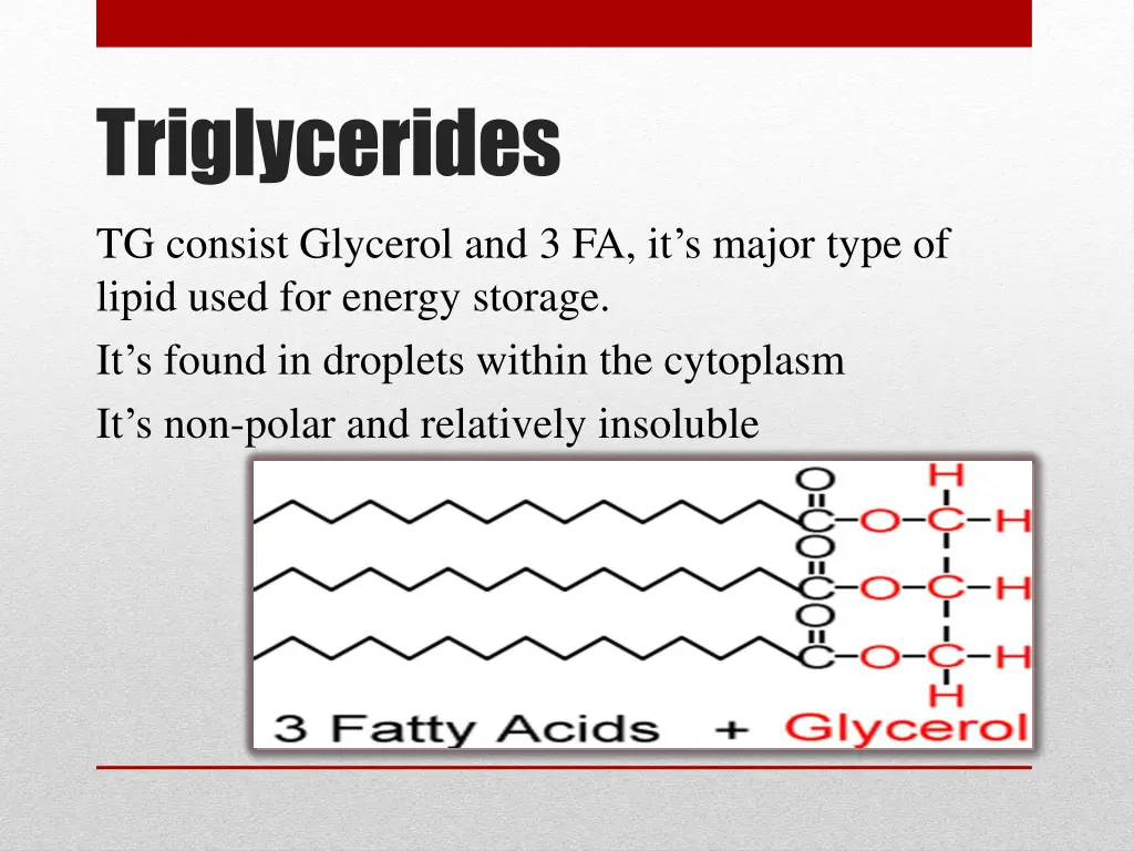 triglycerides