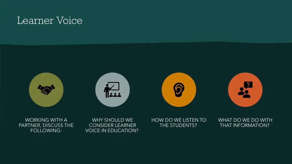 learner voice