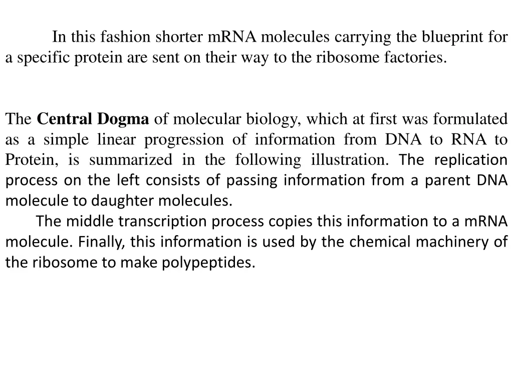 in this fashion shorter mrna molecules carrying