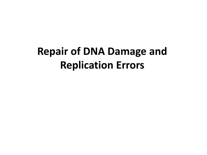 repair of dna damage and replication errors