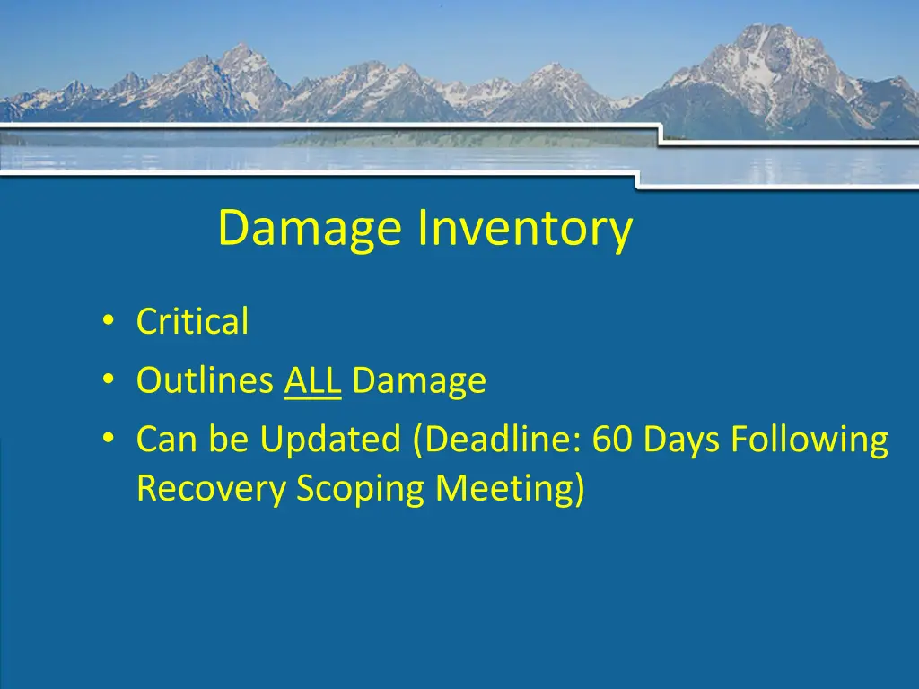 damage inventory