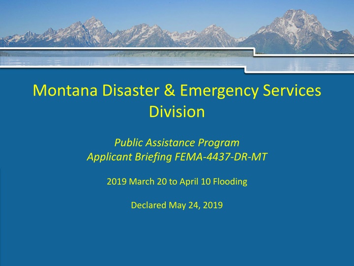 montana disaster emergency services division