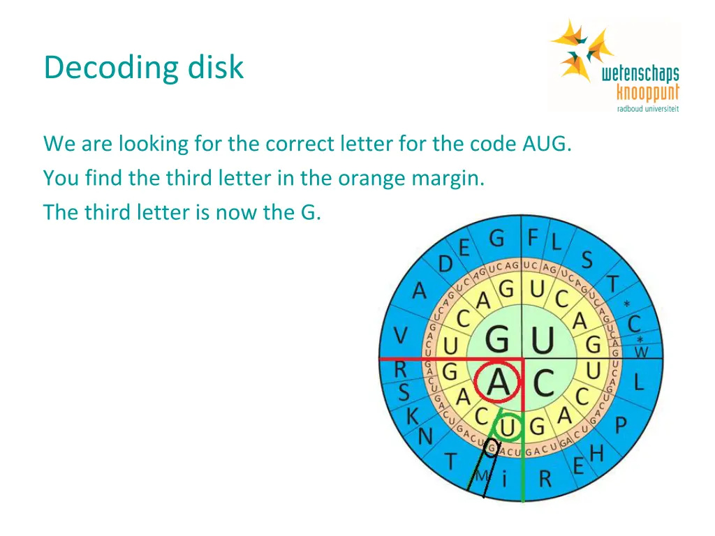 decoding disk 6