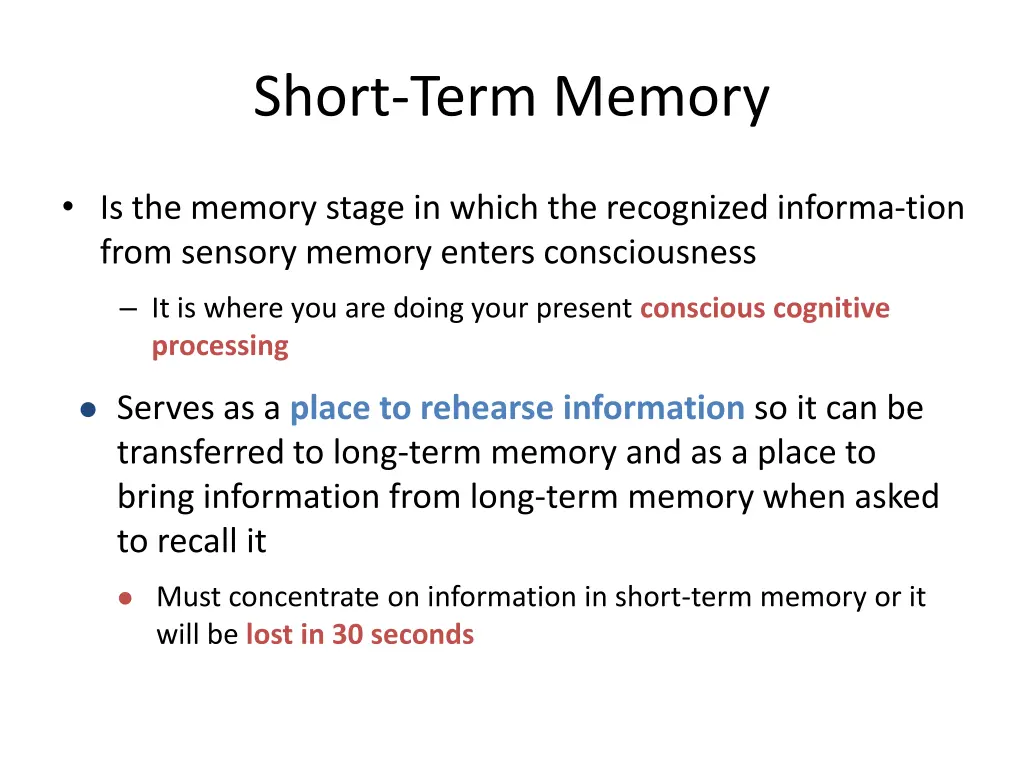 short term memory