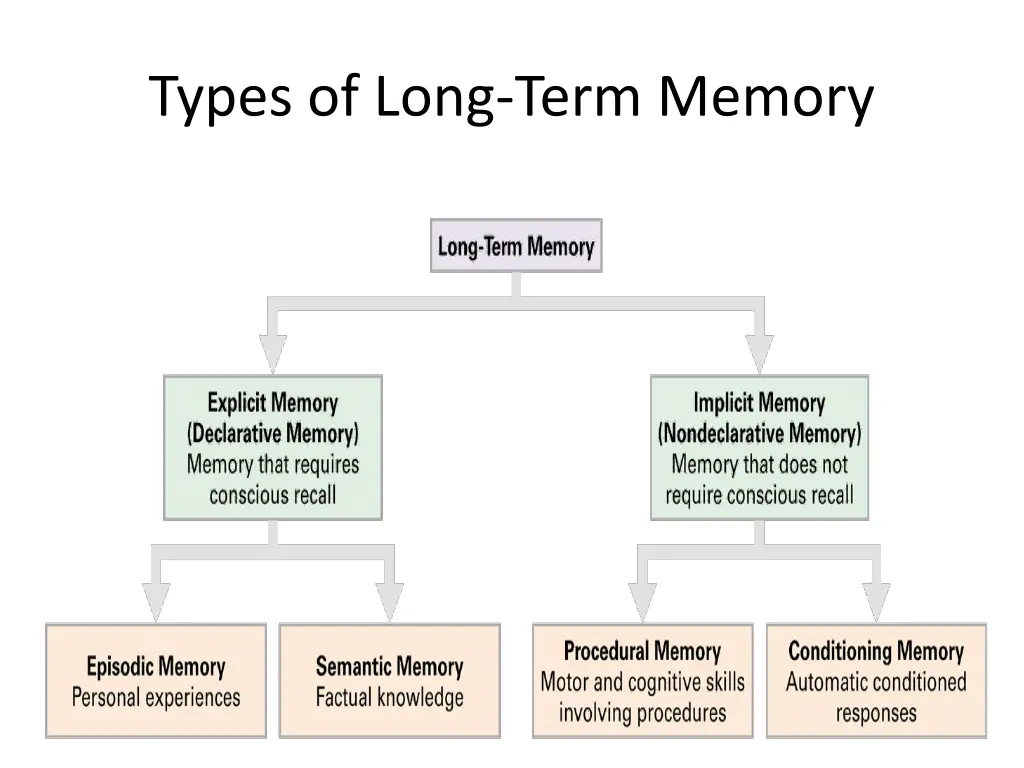 types of long term memory 2
