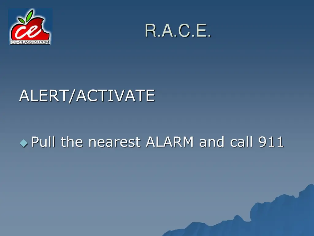 r a c e 4
