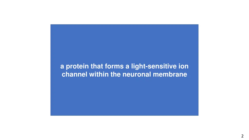 a protein that forms a light sensitive