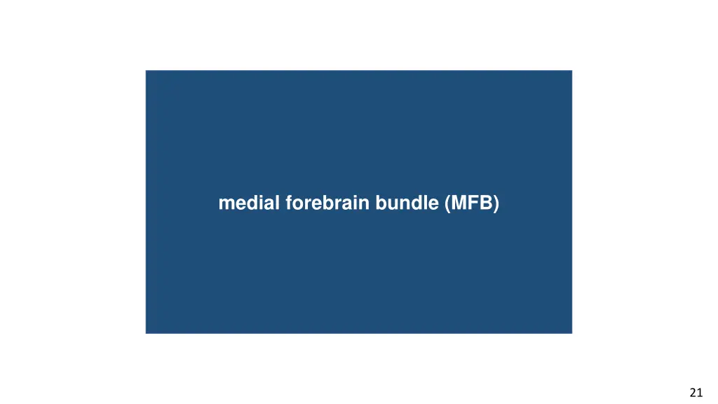 corticogeniculate pathway medial forebrain bundle