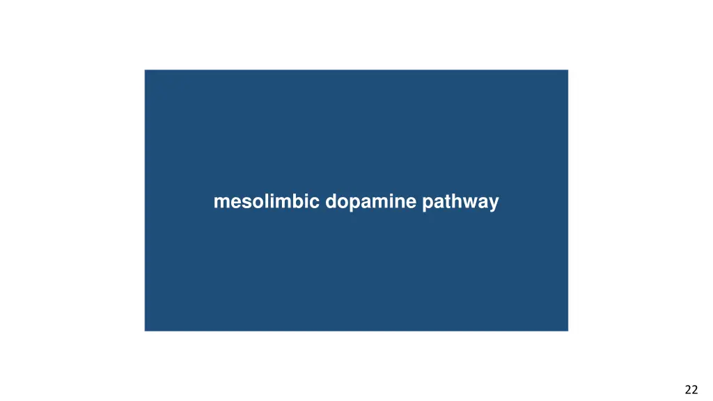 dorsal root ganglia mesolimbic dopamine pathway