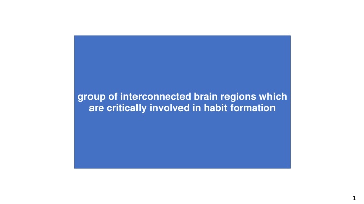 group of interconnected brain regions which