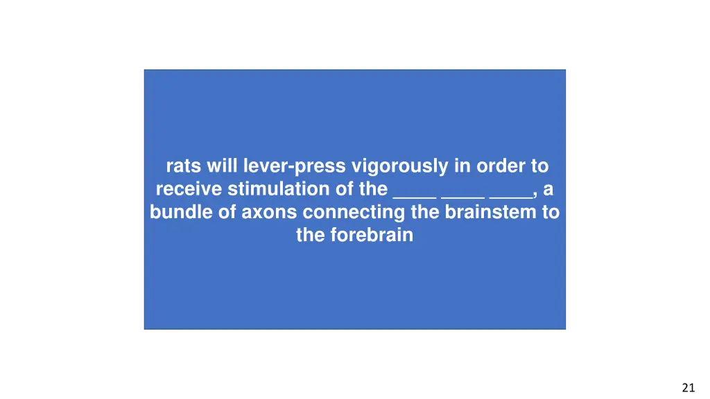 the neural pathway originating in layer